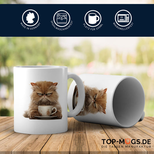 Spruchtasse - Old Grumpy Cat