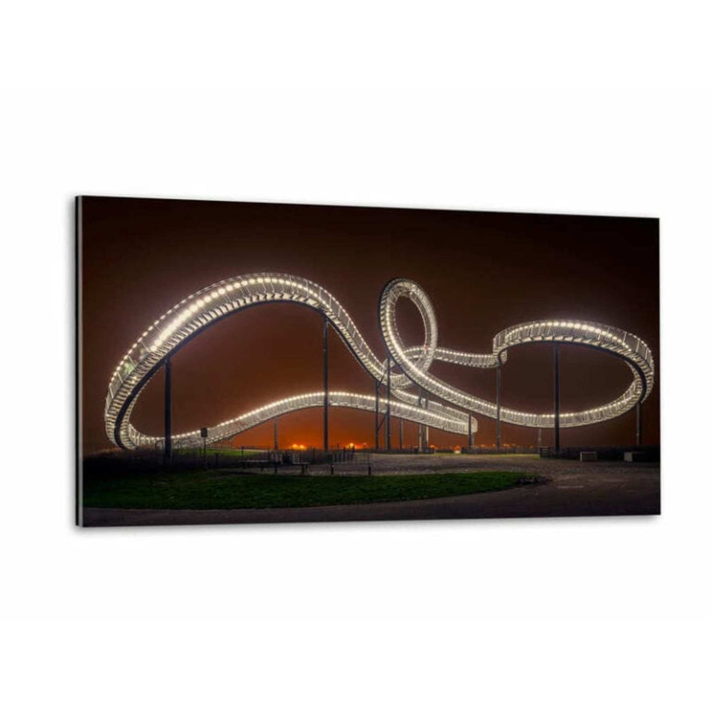 Einzigartiges Wandbild Tiger and Turtle I