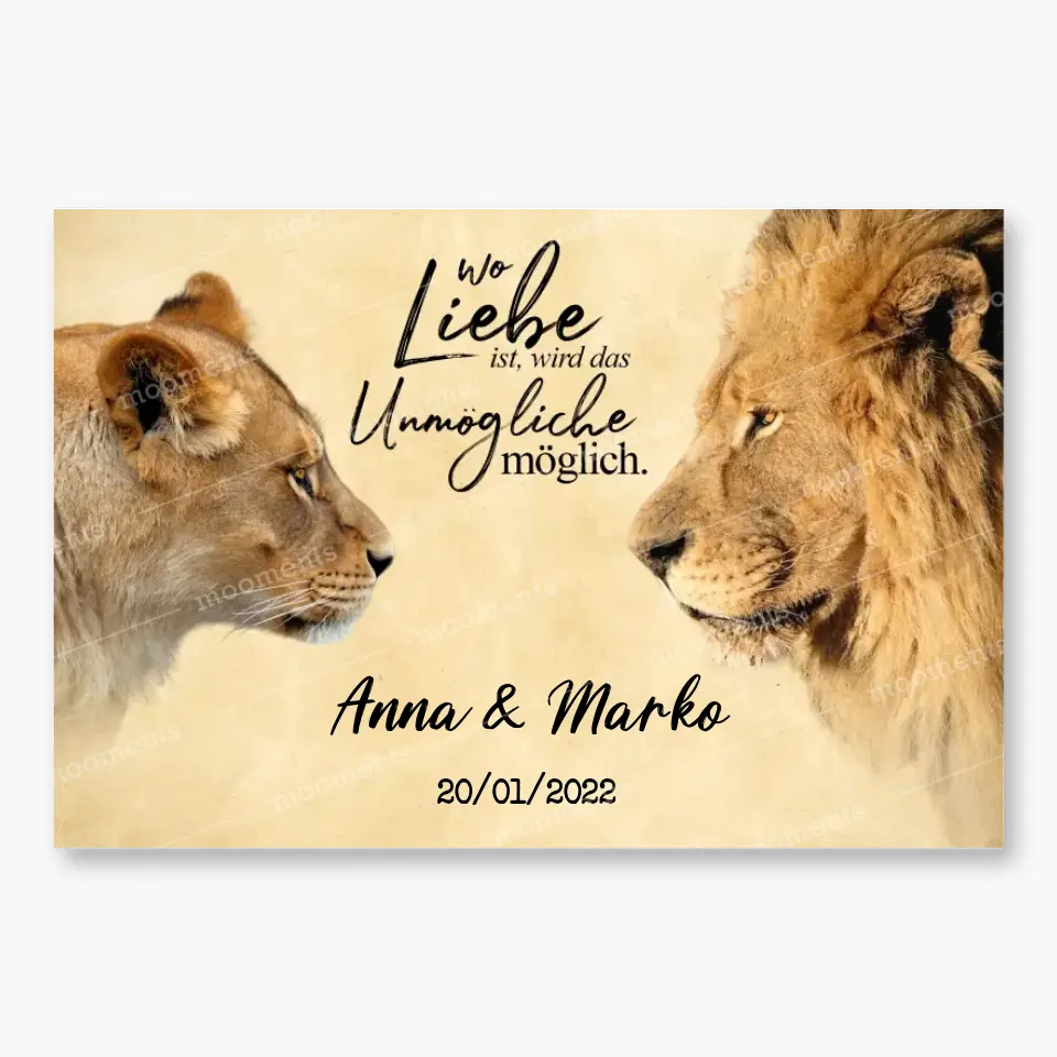 Lion & Lioness - Alu-Dibond